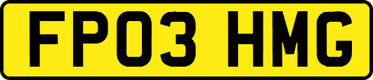 FP03HMG