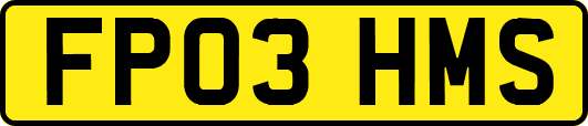 FP03HMS