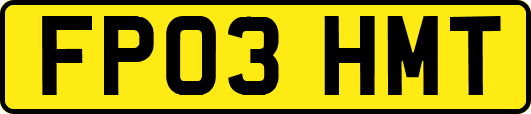 FP03HMT