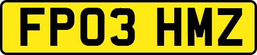 FP03HMZ