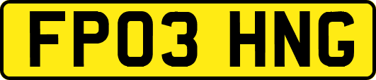 FP03HNG