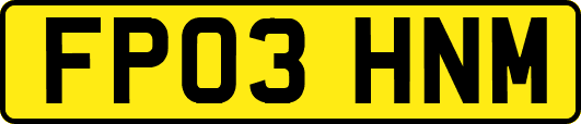 FP03HNM