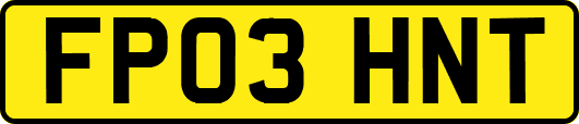 FP03HNT