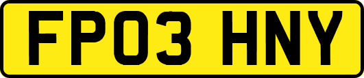 FP03HNY