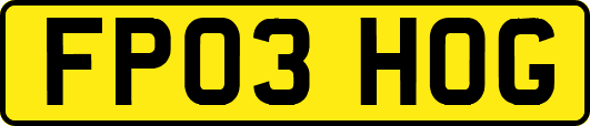 FP03HOG