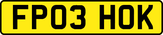 FP03HOK