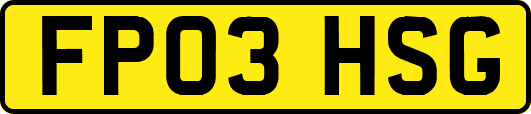 FP03HSG