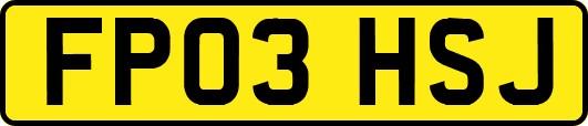 FP03HSJ