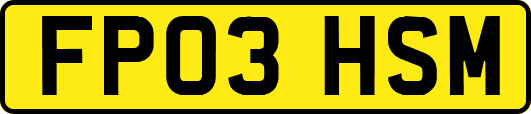 FP03HSM