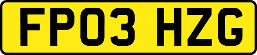 FP03HZG