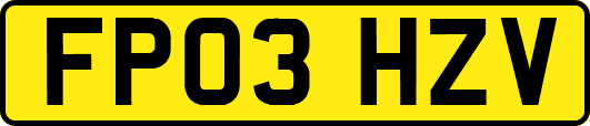 FP03HZV