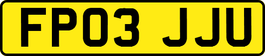 FP03JJU