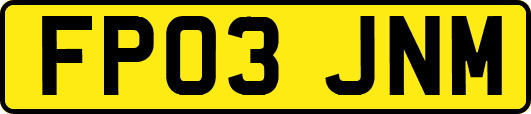 FP03JNM