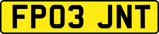 FP03JNT
