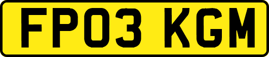 FP03KGM