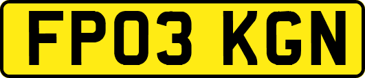 FP03KGN