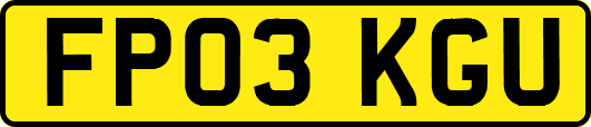 FP03KGU