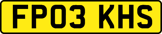 FP03KHS