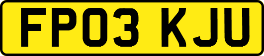 FP03KJU