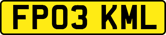 FP03KML