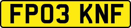 FP03KNF