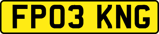 FP03KNG