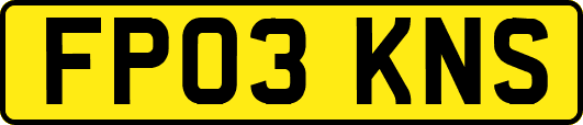 FP03KNS