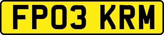 FP03KRM