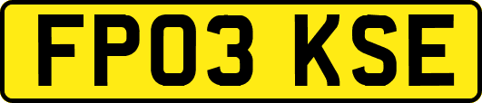 FP03KSE
