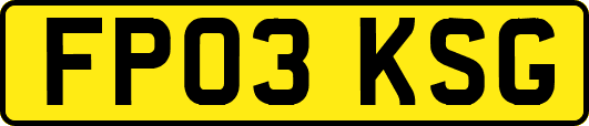 FP03KSG