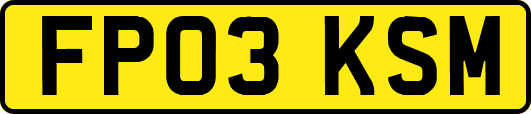 FP03KSM