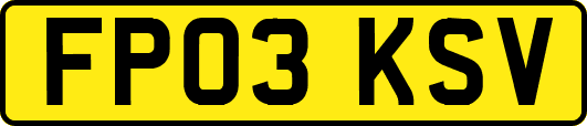 FP03KSV