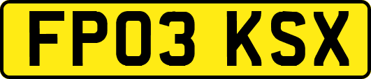 FP03KSX