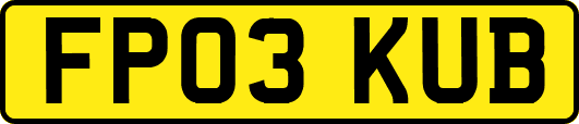 FP03KUB