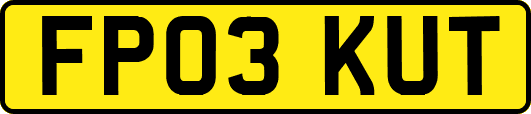 FP03KUT