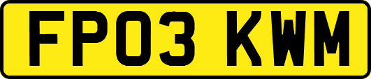 FP03KWM