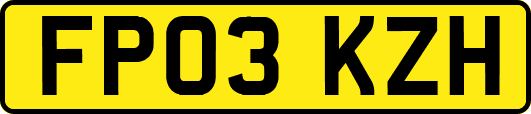FP03KZH