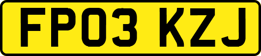 FP03KZJ