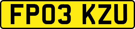 FP03KZU