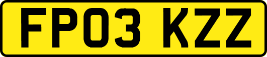 FP03KZZ