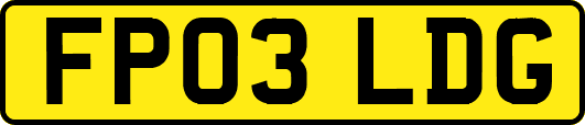 FP03LDG
