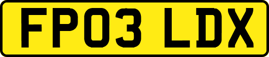 FP03LDX
