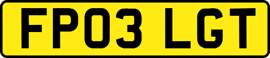 FP03LGT