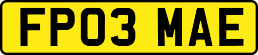 FP03MAE