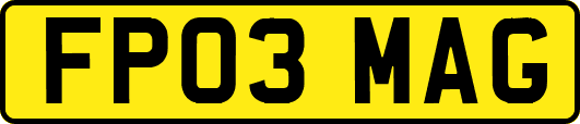 FP03MAG