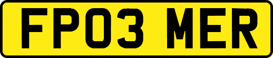 FP03MER