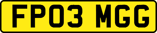 FP03MGG