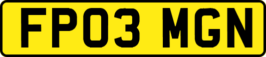 FP03MGN