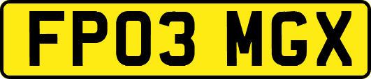 FP03MGX