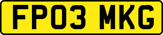 FP03MKG